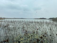 -东滩湿地公园观海楼餐厅