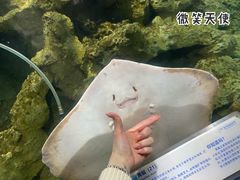 -杭州海底世界
