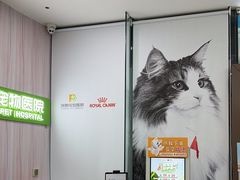-瑞鹏宠物医院·微创内窥镜·骨外科·牙科(翠竹分院)
