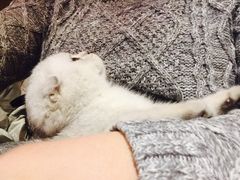 Mikaku-MIKAKU(万达广场上海宝山店)