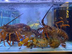 -探香儿融合餐厅(金碧源店)