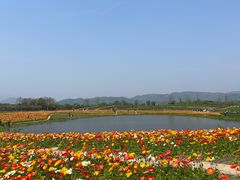 -径山花海