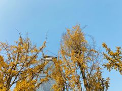 -两江幸福广场