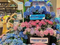-盒马鲜生(岭南新世界店)