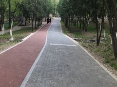 -北宫国家森林公园