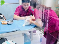 -纳吉亚猫专科动物诊疗中心(蒋宅口分院)