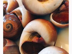 -舟山希尔顿酒店