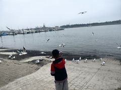 -日照世帆赛基地