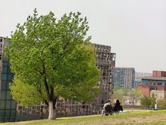 -莫子山公园