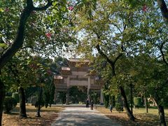 -中山大学学者灵芝(园南路店)