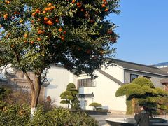 -广富林宰相府酒店·水云间