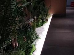 -金色印象·4K影院式足体养生(石碾盘店)