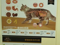 -纳吉亚猫专科动物医院博雅分院
