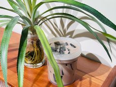 -小老虎糖水铺(国贸店)