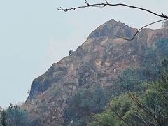 -南山植物园