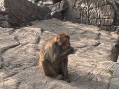 -连云港金陵海州湾会议中心