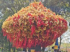 -狼山风景名胜区