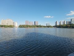 -南翔镇银翔湖公园