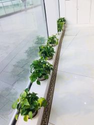 -蕾特恩专业祛痘国际连锁