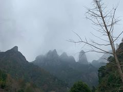 -龙寺生态园