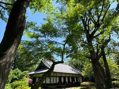 -东京国立博物馆