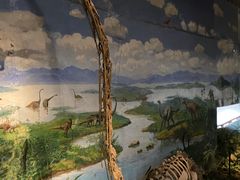 -自贡恐龙博物馆