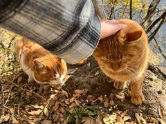 -终南山南五台景区