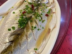 -太湖好灶头土菜馆(石公路店)