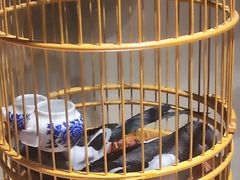 -了凡国风主题茶馆·咖啡(武侯祠锦里店)