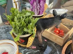 -慢丽江·云南野生菌土鸡锅(西山店)