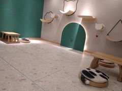 -飞行喵MR PILOT|猫舍·猫咖(静安大融城店)