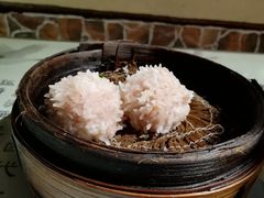 大力丸-风波庄(罍街分舵)