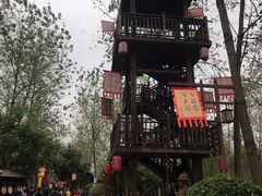 -合肥滨湖国家森林公园