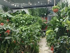 -三旗百汇商品城