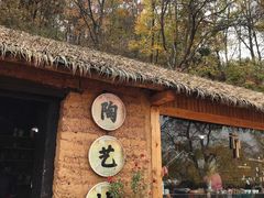-千年银杏谷文化旅游区