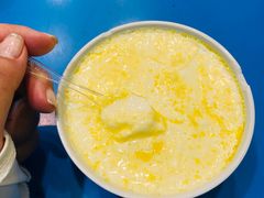 -德禄酸奶(莫家街店)