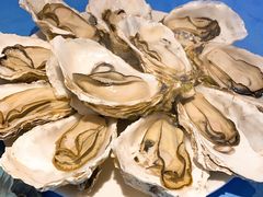 -千岛蚝高压锅生蚝·人参火锅(白云万达店)