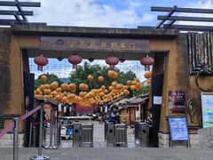 -云南民族村
