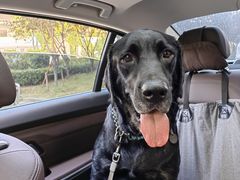 -康旭宠物医院(郑州总院)