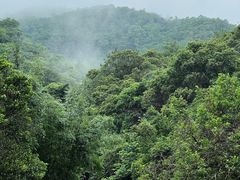 -广州白江湖森林公园