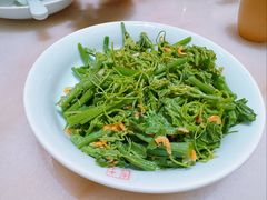 丝瓜尖-小吊梨汤·北京菜·烤鸭(鸟巢店)