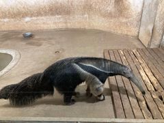 -石家庄市动物园