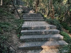 -紫金山山顶公园