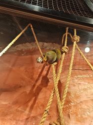 -Zoolung Zoolung动物主题公园(海信广场店)