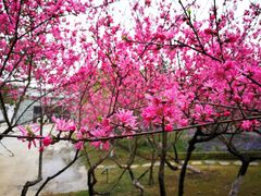 -白塘生态植物园