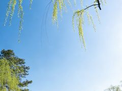 -婺源月亮湾