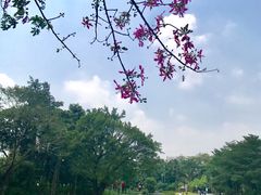 -荔枝公园(福田区)