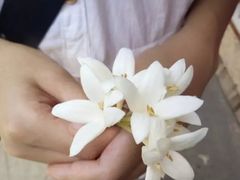 -柬埔寨国家博物馆