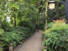 -成都市活水公园