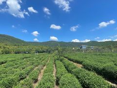 -百万叔(临湖店)